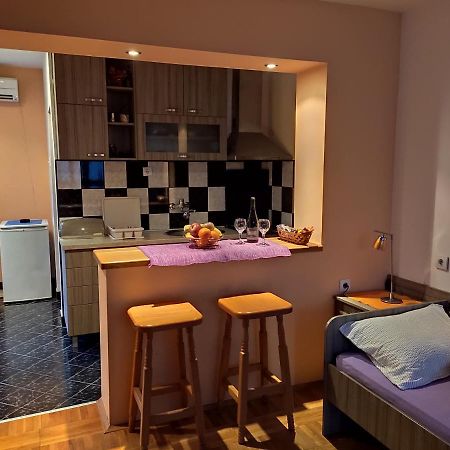 ניסקה בנז'ה Apartman Ristic מראה חיצוני תמונה