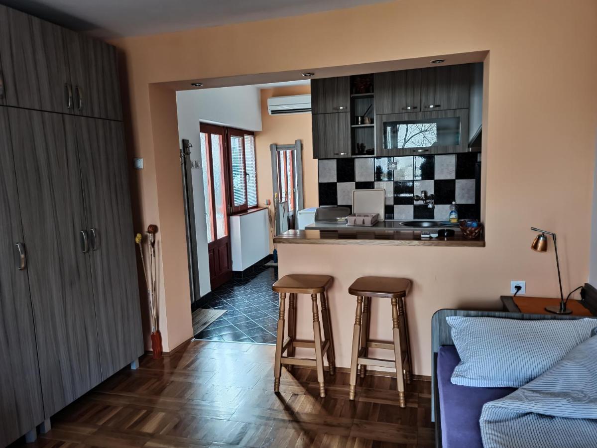 ניסקה בנז'ה Apartman Ristic מראה חיצוני תמונה
