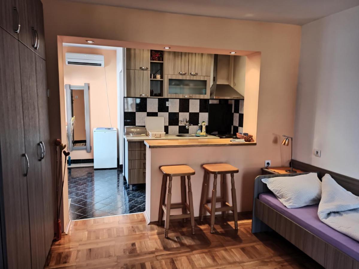 ניסקה בנז'ה Apartman Ristic מראה חיצוני תמונה