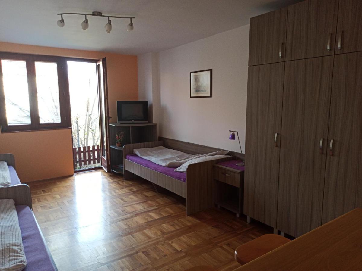 ניסקה בנז'ה Apartman Ristic מראה חיצוני תמונה